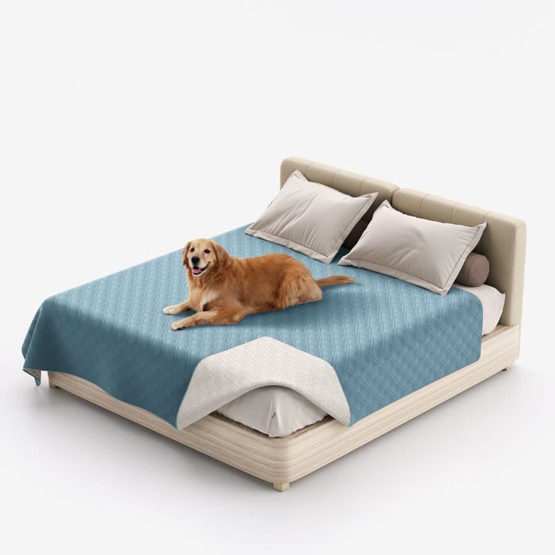 Pet Supplies
